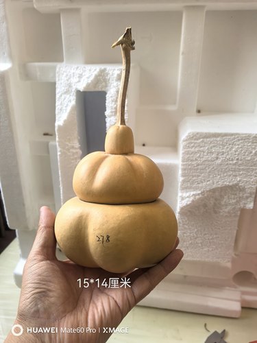 天然手把文玩勒扎莲花坐花墩葫芦工艺品一物一图皮质瓷实老成响籽 - 图3
