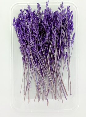 DIY紫色系永生花干花材料包盒装