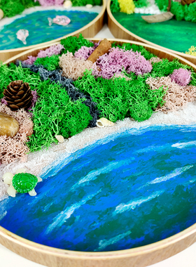 永生苔藓画套餐实木圆盘手工花画