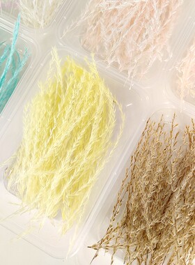 拂尘永生花天然芦苇ins风森系diy