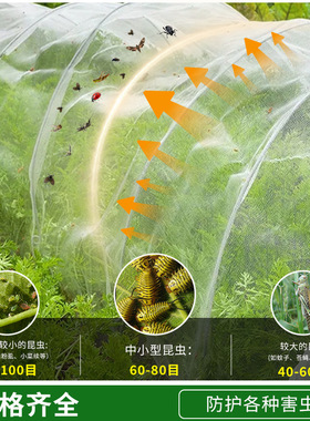 南郭良品农用防虫网种菜种植大棚防鸟网养殖围网防蝗虫纱网加厚