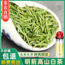 Angi 2023 New tea Ming Former white tea head picking green tea high mountain rare white tea leaves bulk 250g canned