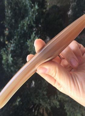 天然牛角背部拨筋棒