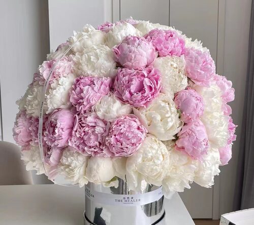 【进口芍药大合集】4月底发货高品质重瓣婚礼家庭插花水养花莎莎 - 图0