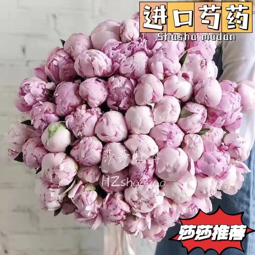 【进口芍药大合集】4月底发货高品质重瓣婚礼家庭插花水养花莎莎 - 图2