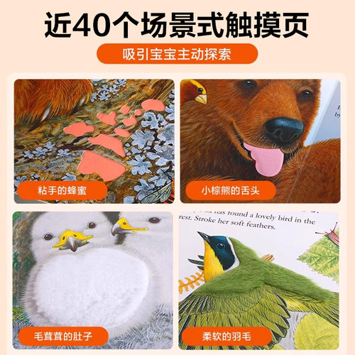 触摸书0-3岁 蒙氏早教绘本亮丽精美小兔比利点读版乐乐趣儿童婴儿幼儿启蒙洞洞翻翻宝宝益智玩具触感刺激认知阅读手指推拉早教1岁2 - 图2