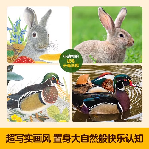 乐乐趣小兔比利和朋友们 触摸书幼儿早教0-3岁宝宝认知翻翻书小海獭儿童中英双语手指推拉启蒙洞洞书婴儿益智玩具触感机关书1-2岁 - 图2