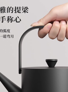 科瑞德烧水壶汀壶泡茶专用