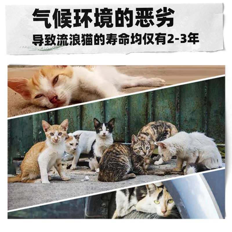 流浪猫窝防水防雨狗窝户外猫狗屋宠物窝垫可拆洗猫别墅防寒保暖房 - 图0