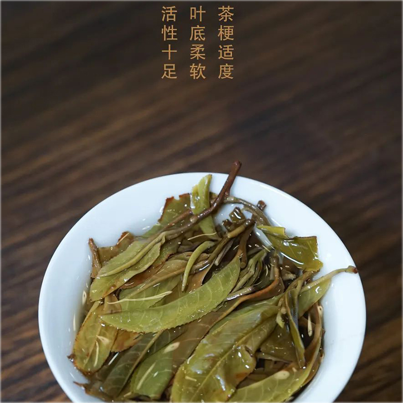 天弘茶厂2023年易武青生普头春茶紧压普洱茶生茶云南七子饼茶357g