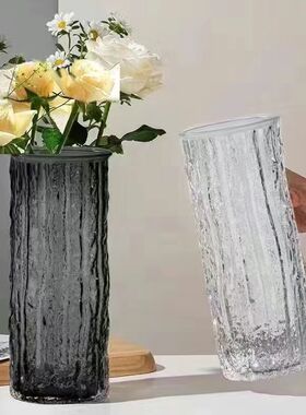 玻璃花瓶轻奢高级感摆件客厅插花透明水养鲜花水培富贵竹专用民宿