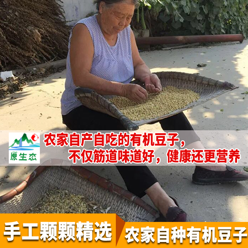 张家口特产蔚县豆腐干五香味豆制品干货有嚼劲低脂无添加孕妇零食 - 图0