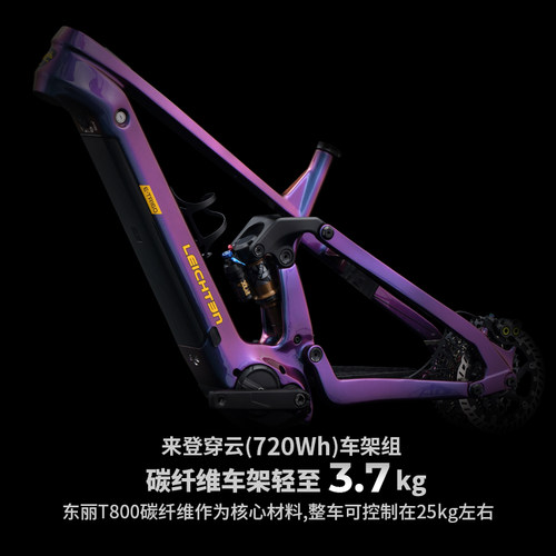 德国来登-穿云电助力Enduro软尾山地自行车碳纤维车架可拆电池 - 图3