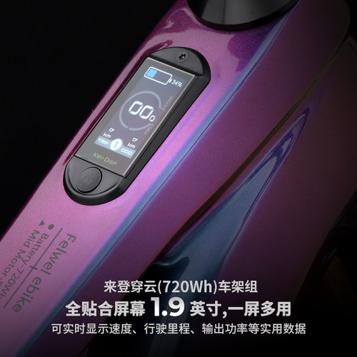 德国来登-穿云电助力Enduro软尾山地自行车碳纤维车架可拆电池 - 图0