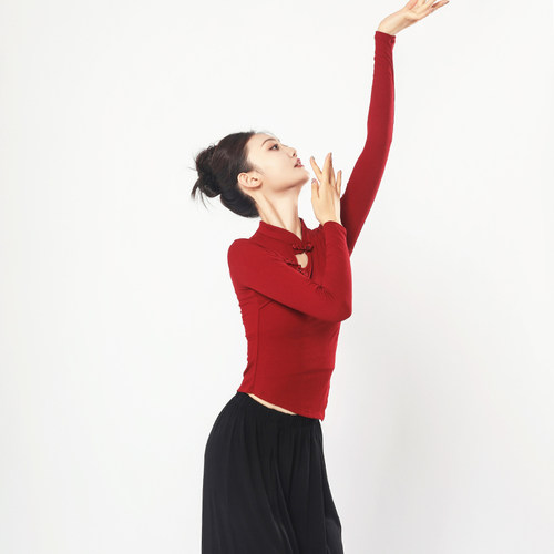 现代舞服成人国风舞练功服女中国风旗袍舞蹈服长袖古典舞修身上衣 - 图0