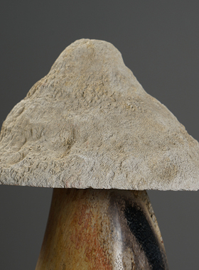 天然木化石蘑菇摆件艺术感饰物百搭创意软装客厅书房个性装饰摆件