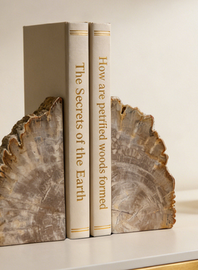 样板房家居办公室书房装饰品木化石摆件 创意树化石书夹书靠书立