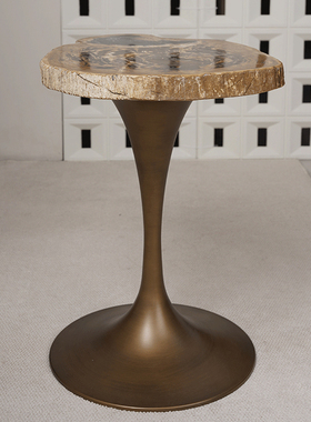 硅化木沙发茶几设计师现代艺术边几设计师款轻奢意式极简客厅角几