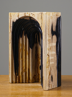 简约现代轻奢木化石装饰时空隧道样板房硅化木创意摆件木纹石头