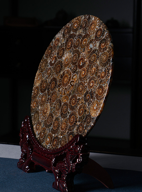 电视柜螺化石切片新中式风摆件