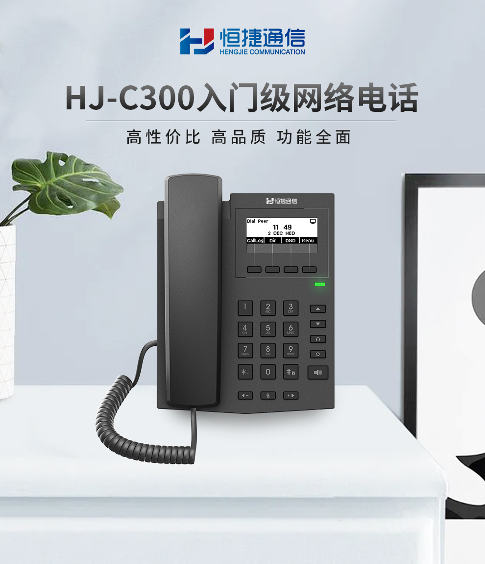 恒捷 HJ-C300入门级IP电话机VOIP网络电话机 呼叫中心电话机办公 - 图0