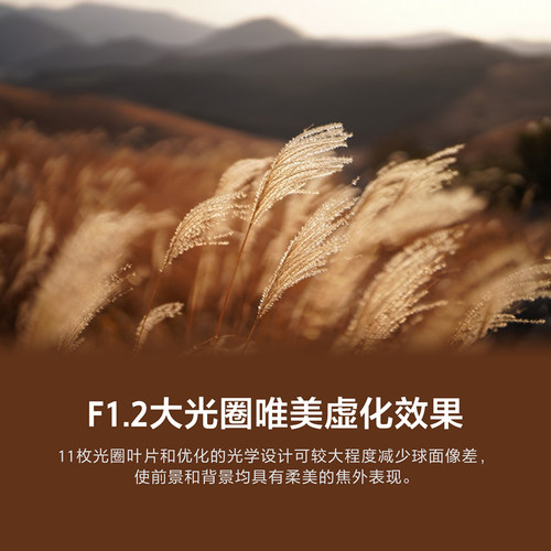 Sony/索尼 FE 50mm F1.2 GM全画幅G大师镜头 SEL50F12GM - 图2