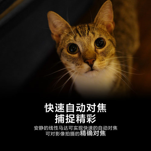 Sony/索尼 FE 35mmF1.8全画幅广角定焦镜头 SEL35F18F - 图3