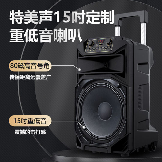 Leistungsstarker professioneller Karaoke-Lautsprecher von Temeisheng