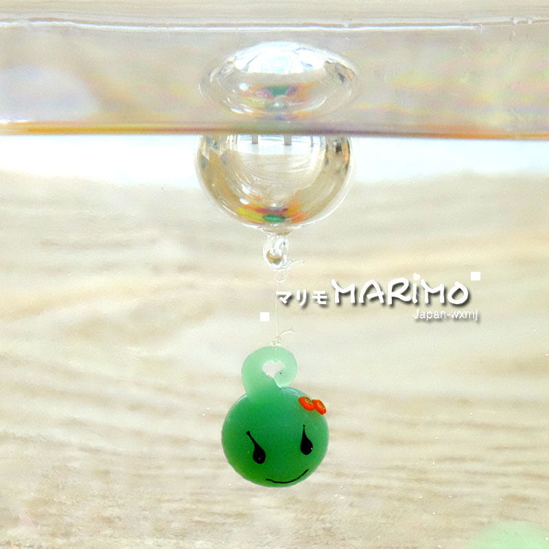 促销水培植物海藻球浮球微景观生态瓶创意diy负离子创意迷你盆栽,淘宝优惠券,粉丝福利购,淘宝优惠卷