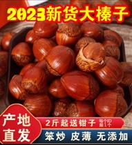 2023 Fresh green leather water pulp Benn Creek Huanren Great fruit hazelnut Northeastern special production with leather water Renping Olive hazelnut