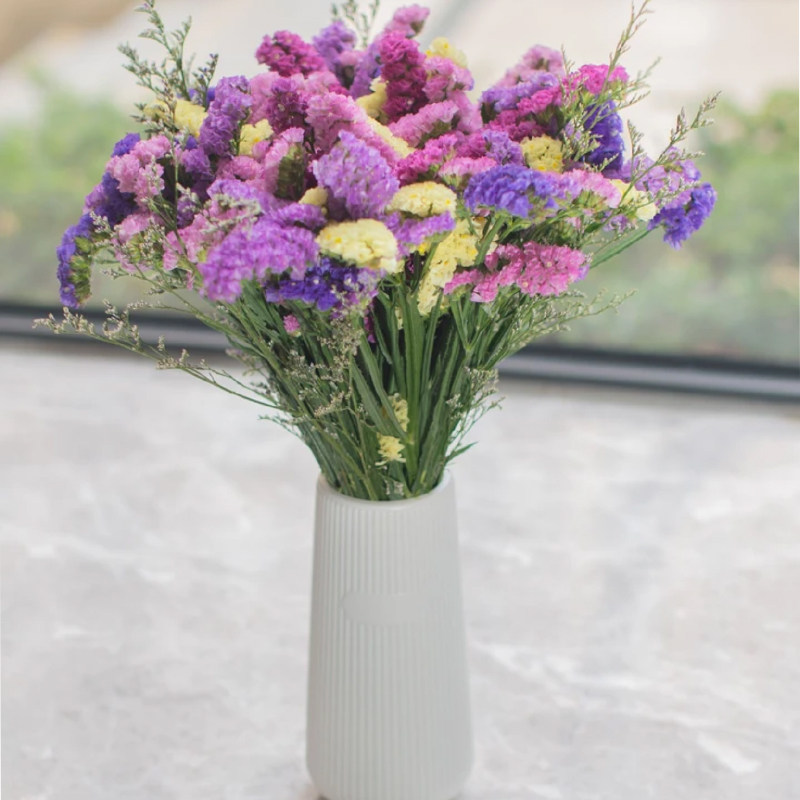 【送花瓶】云南基地勿忘我半干花真花风干花鲜艳客厅装饰摆件插画,淘宝优惠券,粉丝福利购,淘宝优惠卷
