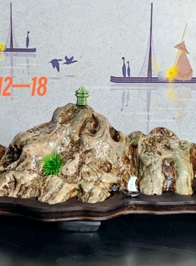 靠山石升级华安玉九龙璧原石高端奇石家居摆件切底山形景观赏石