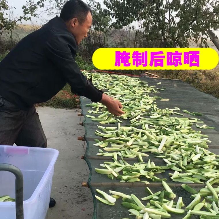 原味青萝卜干咸味安徽腌制脆萝卜条咸菜六安农家自制下饭菜土特产 - 图1