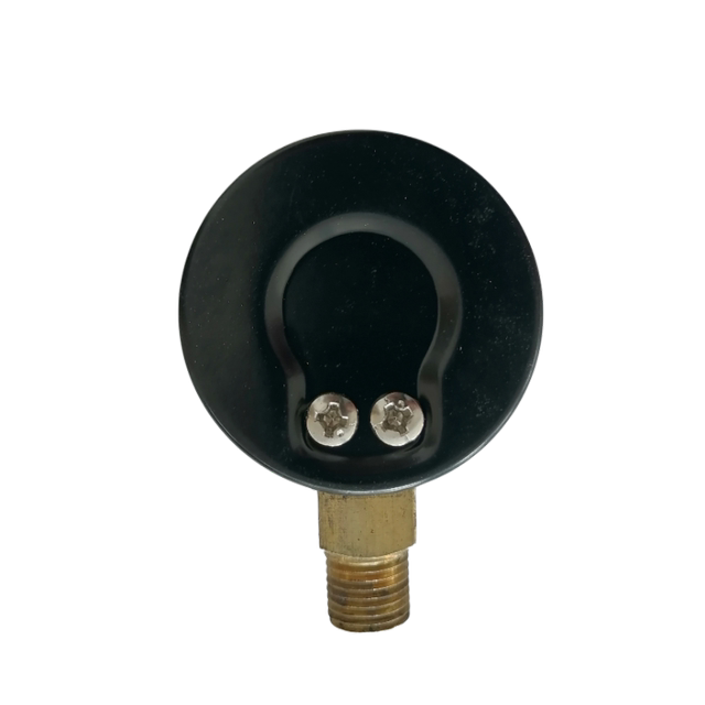 Flowing through Proton Shengxiang Becher Oil Pump Pressure Gauge