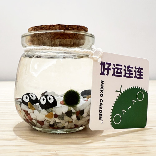 马里莫海藻球生态瓶桌面宠物迷你小植物 diy生日礼物趣味造景瓶 - 图3