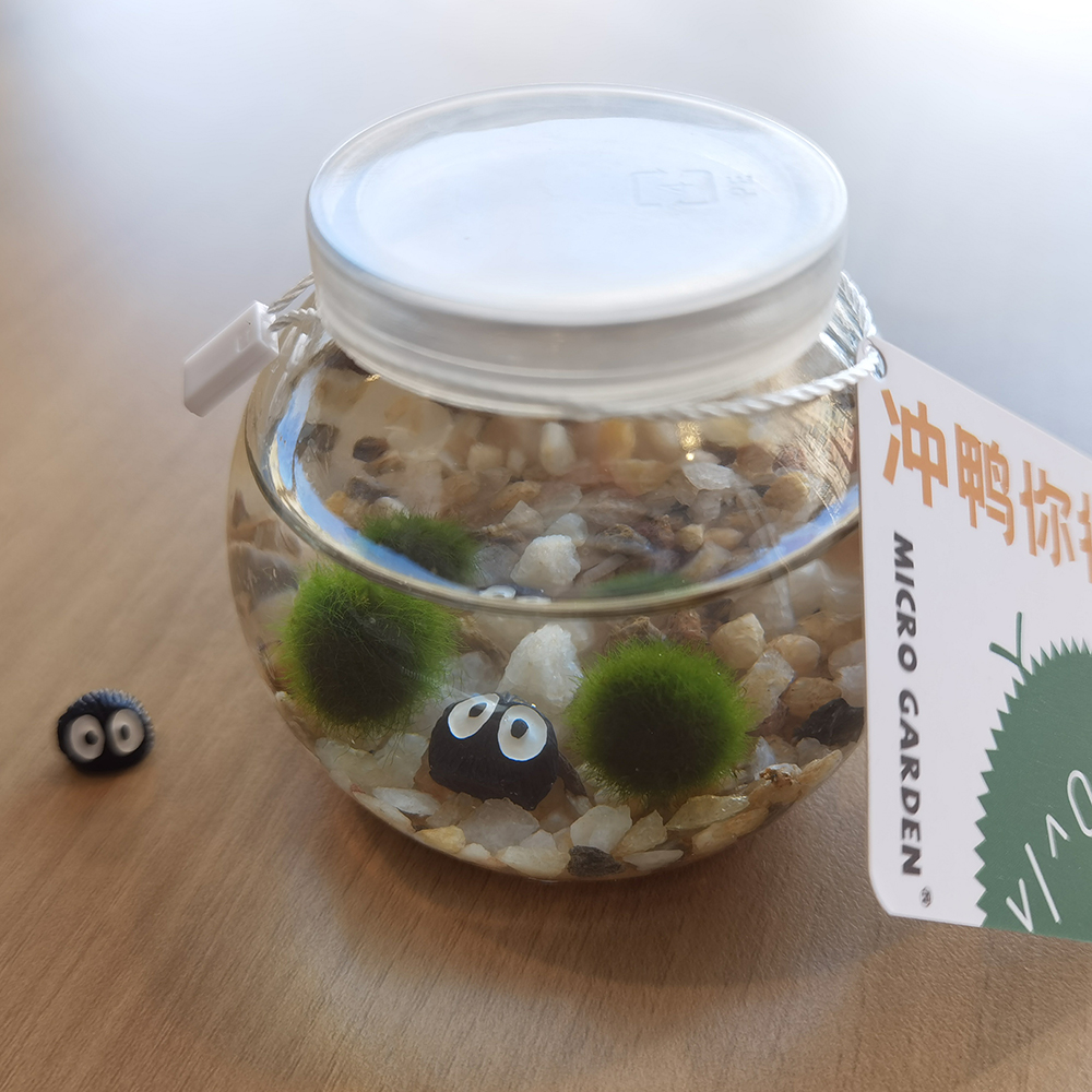 马里莫海藻球生态瓶生日礼物送闺蜜水培养植物水草小宠物微景观-图0
