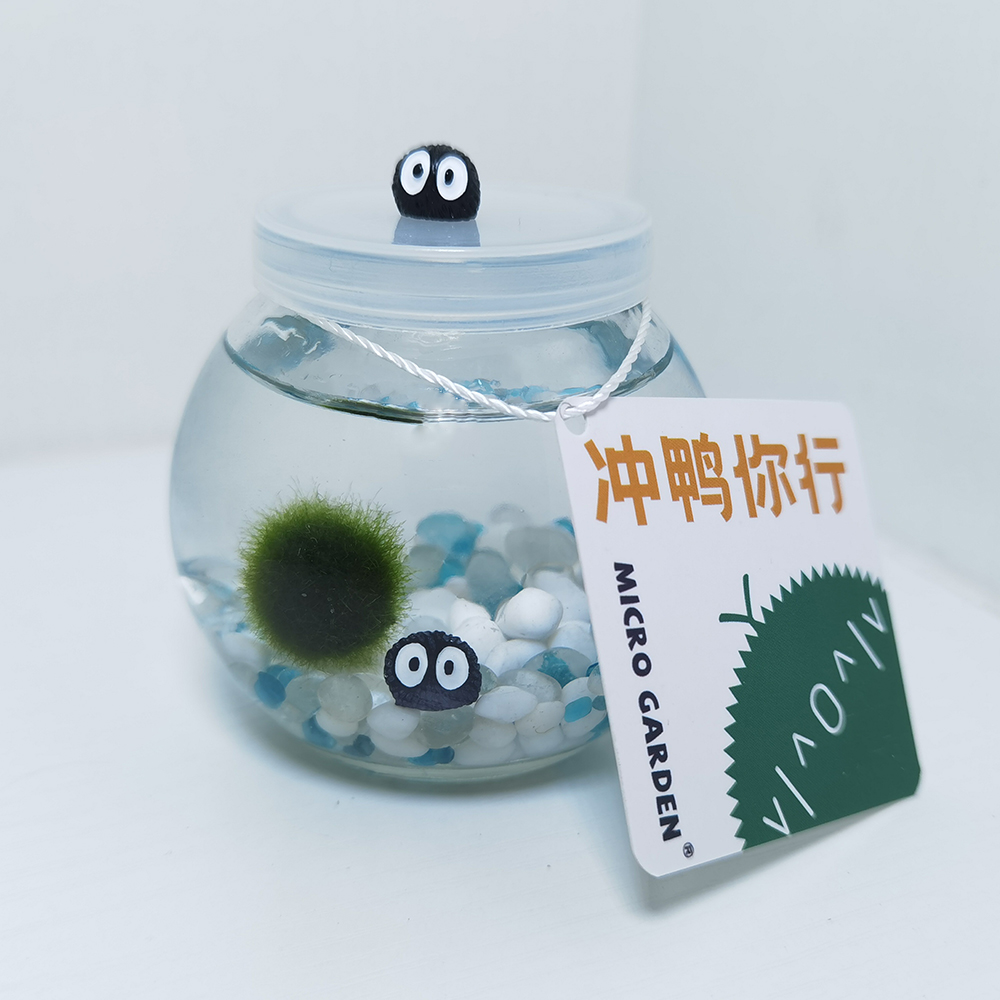 马里莫海藻球生态瓶生日礼物送闺蜜水培养植物水草小宠物微景观 - 图3