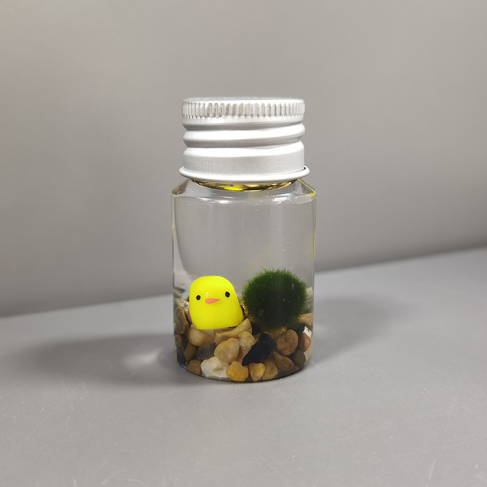 marimo海藻球植物随身瓶 迷你生态瓶趣味马里莫桌面宠物口袋精灵,淘宝优惠券,粉丝福利购,淘宝优惠卷