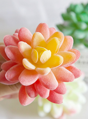 仿真多肉植物假干花绿植组合室内桌面书架小盆栽家居装饰品摆设件