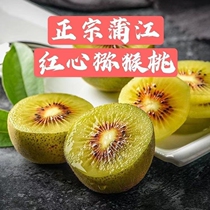 Sichuan Pujiang Red Heart Macaque Peach Fresh When Season Pregnant Woman Fruit Macaque Peach Great Fruit Chic Exotic Fruit Whole Box