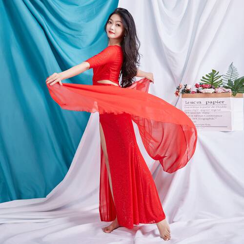 舞娘 肚皮舞2025新款服装练功服套装 连衣裙性感春季女演出服显瘦 - 图1