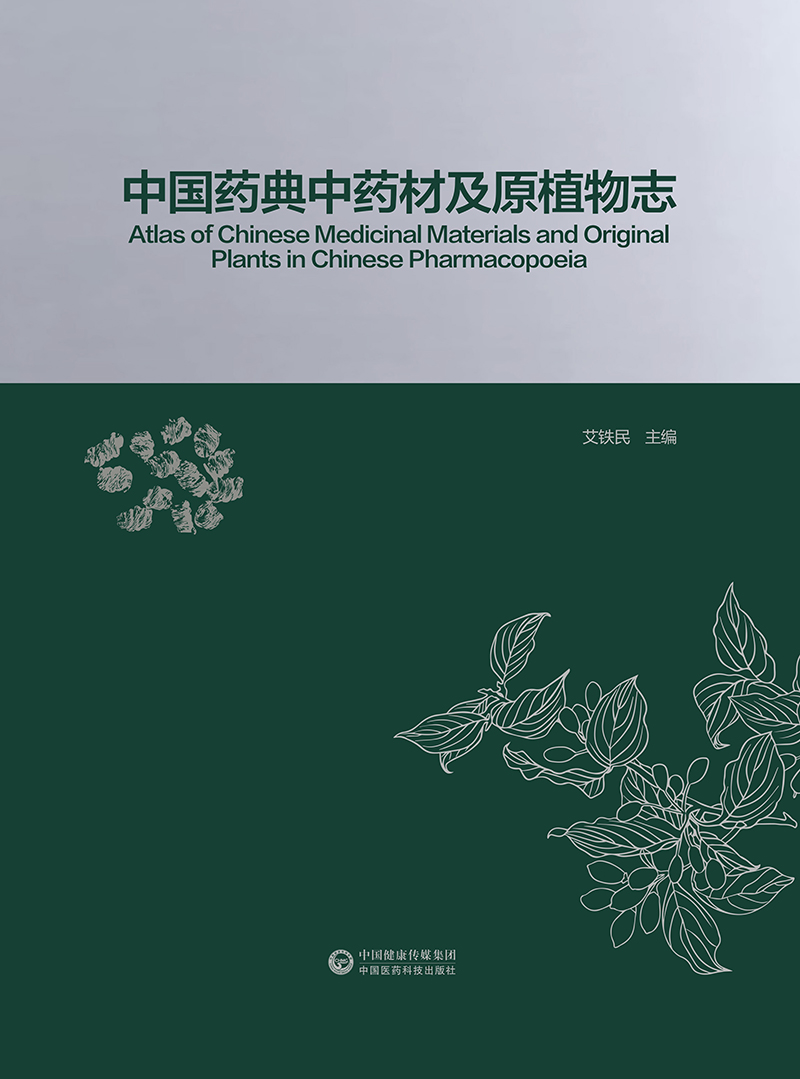 中国药典中药材及原植物志艾铁民药品中药植物志冲药学拉丁名中药大辞典中医彩色图谱书籍可搭配2020年药典中国医药科技出版社-图0