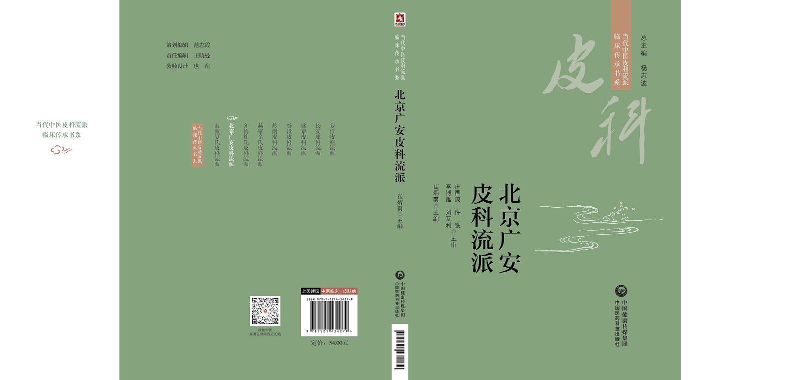 北京广安皮科流派 当代中医皮科流派临床传承书系 梳理北京广安皮科流派的学术体系学术特点流派 药 崔炳南 中国医药科技出版社