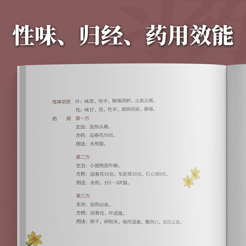花时可期 二十四节气花卉药食图册 饮食营养 食疗 人也和花一样感受四时变化 性味 归经 药用效能 蓝韶清 罗倩 广东技术出版社
