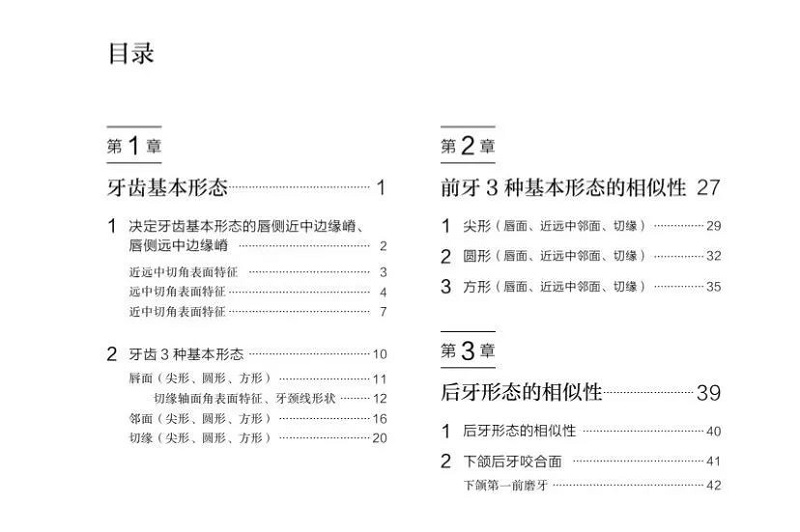 片冈繁夫牙齿形态学 片冈繁夫 天然牙形态的相似性 汤学华 自然牙形态学口腔医学专业书籍 江苏凤凰科学技术出版社 - 图0