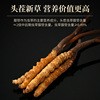 2024新鲜冬虫夏草官方旗舰店0.9克/根头期正品鲜虫草20根共18克装