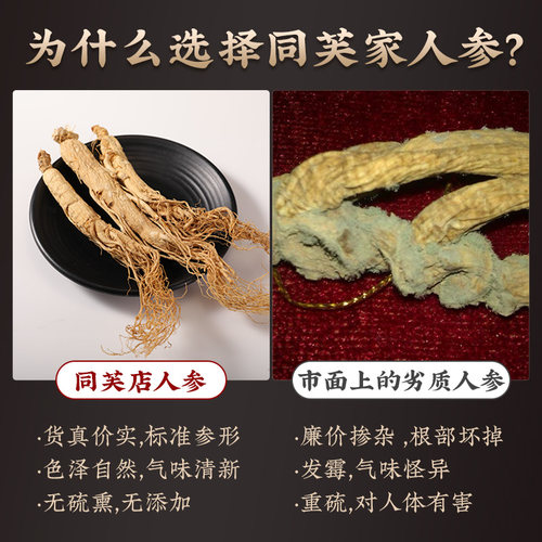 人参长白山人参山参正品林下干参新鲜东北生晒参非中药材干货泡酒 - 图0