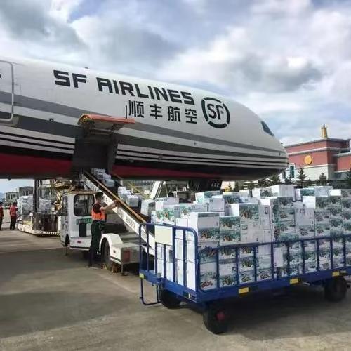 商品详情图片