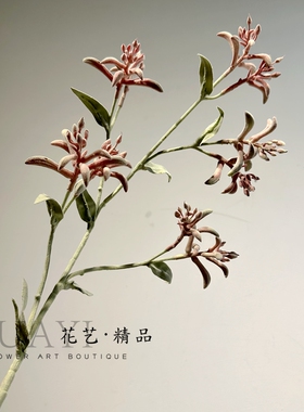 花艺精品仿真花袋鼠爪单只