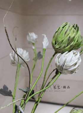 花艺精品 大飞蓟花仿真花线条型花艺素材插花枝条枯枝拍照美陈